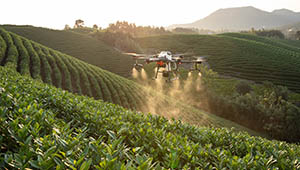 droni agricoltura